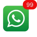 Notification WhatsApp